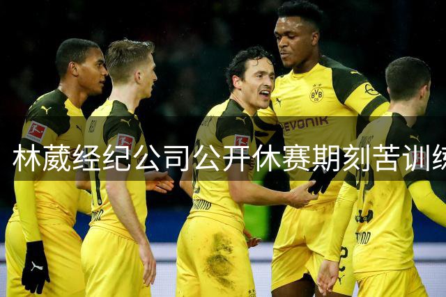 林葳经纪公司公开休赛期刻苦训练视频