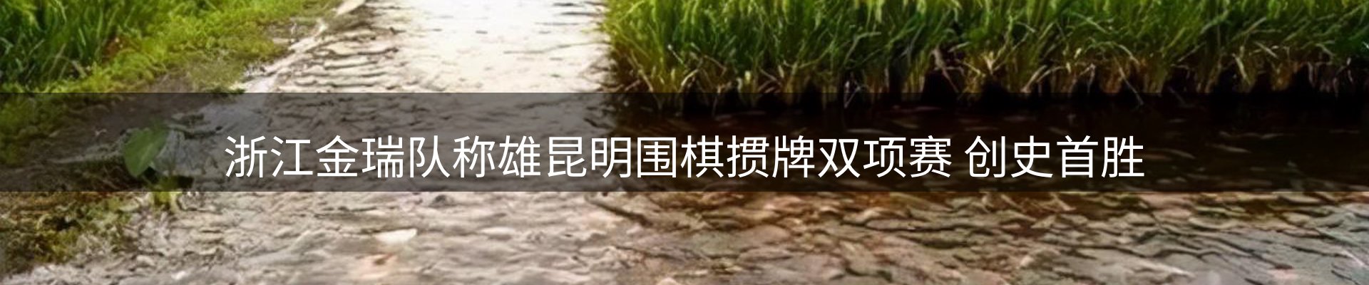 热点集萃